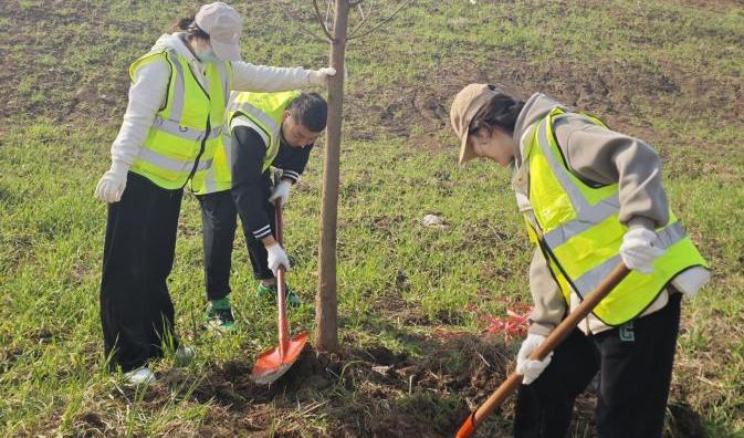 知绿,护绿,植绿,东西湖团团在行动_澎湃号·政务_澎湃新闻-the paper