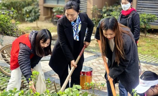 知绿,护绿,植绿,东西湖团团在行动_澎湃号·政务_澎湃新闻-the paper