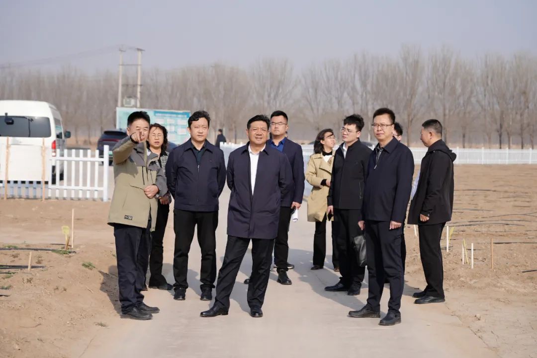 李春调研雄县现代农业产业园建设情况