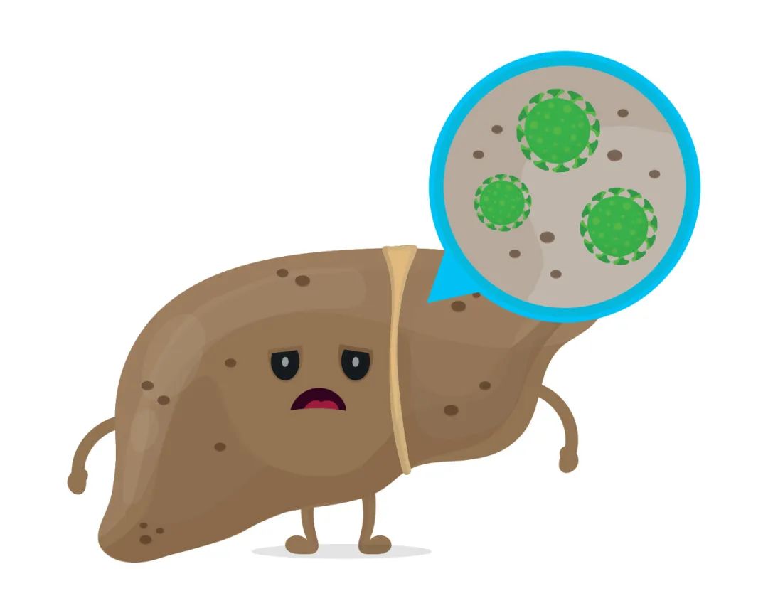 为什么有些人感染了甲型肝炎病毒,却没有症状?