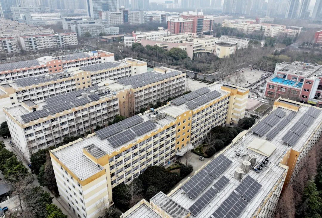 河南一高校获批教育部国际中文教育实践与研究基地【五