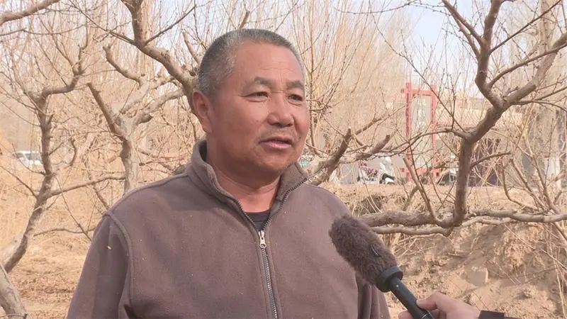 月牙泉镇鸣山村一组村民赵怀泉说:"我种了六亩桃树,林技中心专家培训
