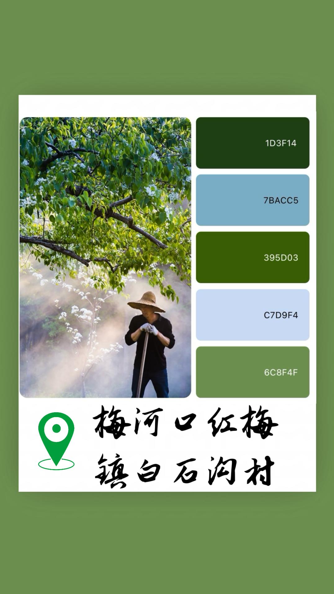 梅河口红梅镇白石沟村四周的树木生机勃勃绿意葱茏宛如一幅绚丽多彩的