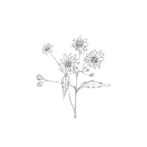 浮光微影 | 向往的角落_澎湃号·媒体_澎湃新闻-the paper