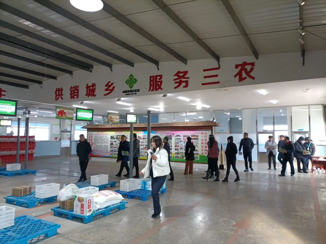 喜讯喜报市供销社社情民意信息报送工作获国家省级表彰