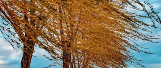 果然纹风不动,不是平静,却是酝酿风暴了.