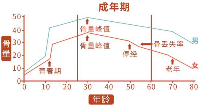 骨密度参照表 正常值图片