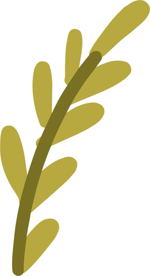 东一展讯 | 乌菲齐真迹盛典空降上海,80件重磅名作