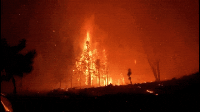 别让它"火"起来