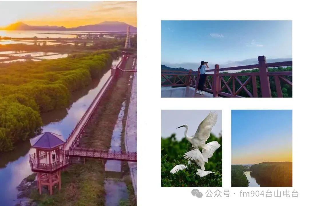 3精彩之旅 | 时隔10年的约会,明天,我在台山海宴等你!