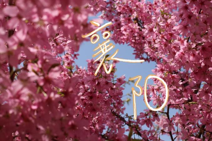 跟着上春山来襄城赏花踏青看山看水看风景