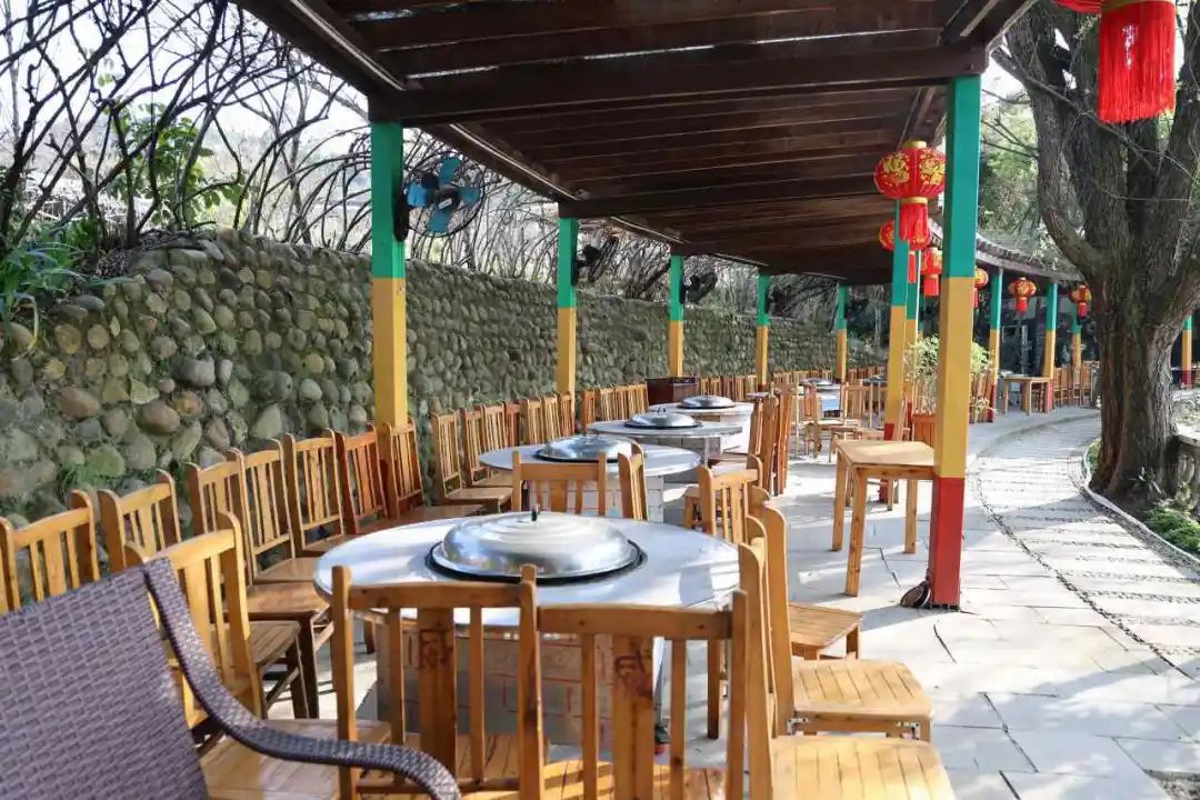 桃花荟·活力湃丨赏桃花品美食～龙泉山商家准备好了_澎湃号·政务