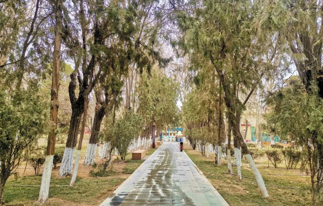 期待!喀什市人民公园将迎来大变化