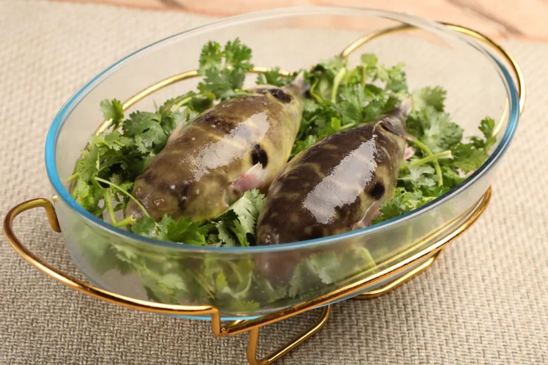 宁品读也曾吃河豚