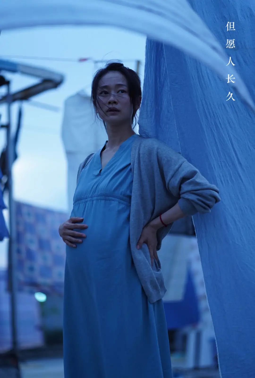 澎湃号·湃客_澎湃新闻-the paper