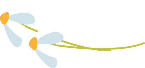 不负春光与美馔长宁这些酒店开启尝鲜模式