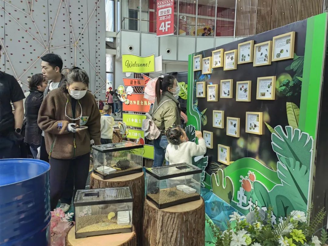 50只鹦鹉,18种爬宠,60种标本.