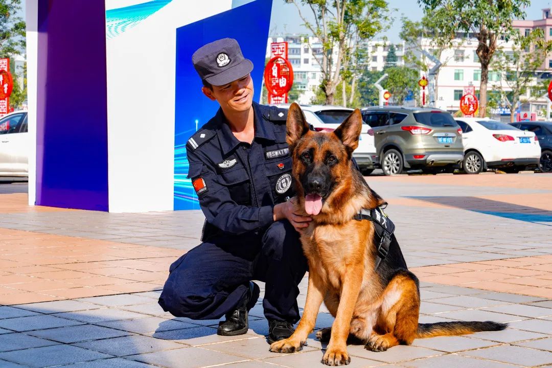 介绍一下,这是我的___搭子