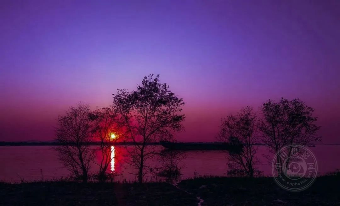 城市或乡村,沙漠或雨林,拍日落手册_澎湃号·湃客_- 