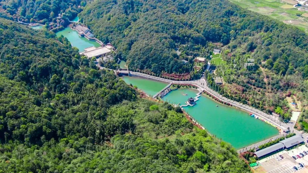 诸暨市沉香湖森林康养基地森林覆盖率达90%,这里的湖景美,山水之灵气