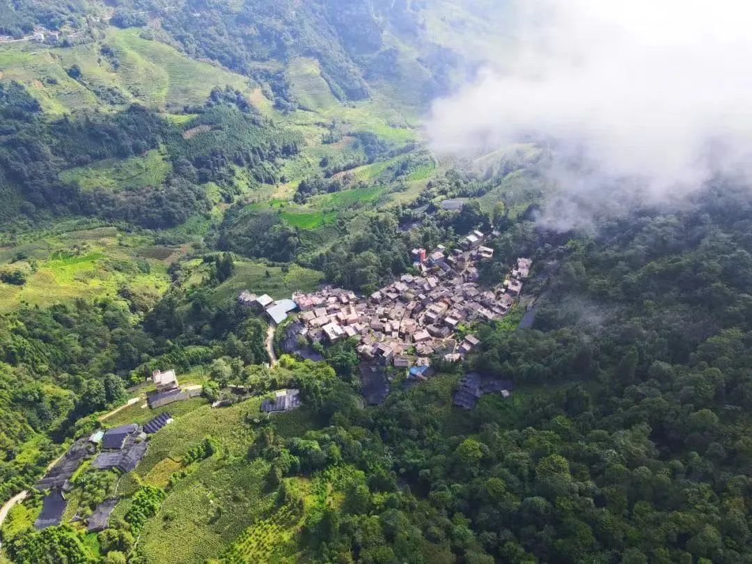 乡村振兴大坪乡生态水产养殖好丰景带来好钱途