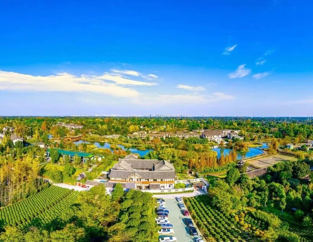 这几条温江骑行线路等你来体验