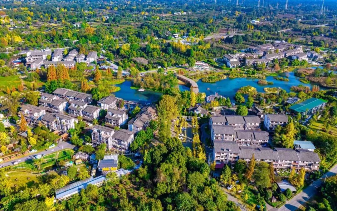 这几条温江骑行线路等你来体验