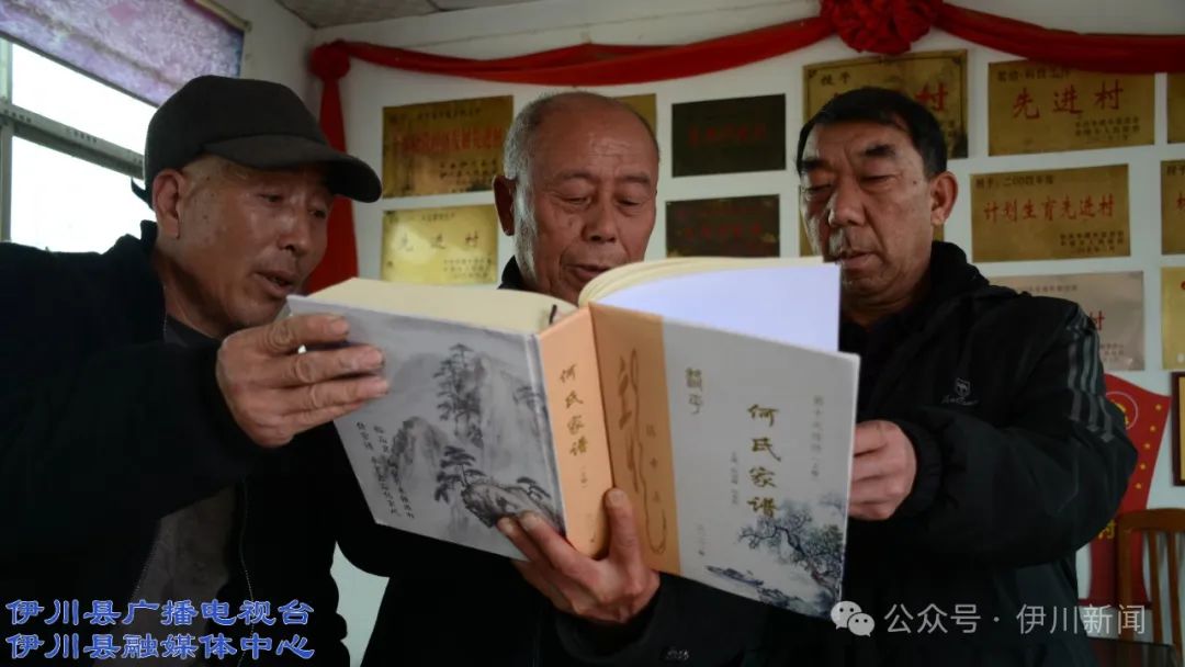 【爱我伊川】伊川半坡：橿子栎下是何庄 一石一木皆神奇_澎湃号·政务_澎湃新闻-The Paper