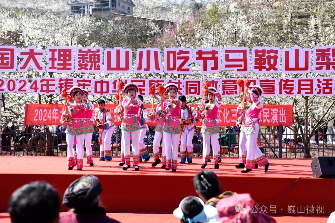 巍山小吃节马鞍山梨花源分会场各项活动成功举办——巍山县金沙木梨木