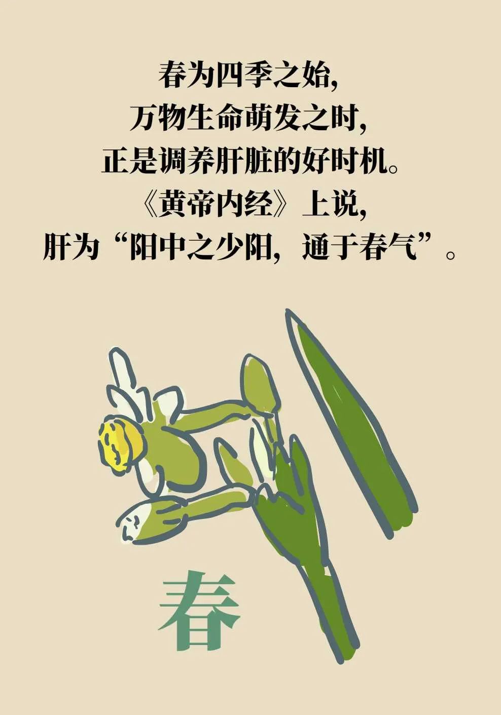 春养肝