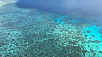 澳大利亚大堡礁频遭大规模“白化事件”