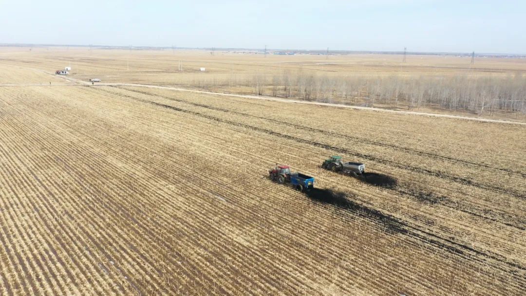 【奋进的春天】徐兴库:扎根乡村 筑梦田野_澎湃号