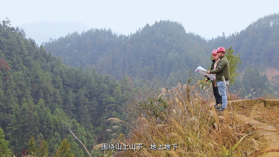 美丽中国·山水工程⑤ | 山水贵州 醉美武陵_澎湃号·政务_澎湃新闻-The Paper