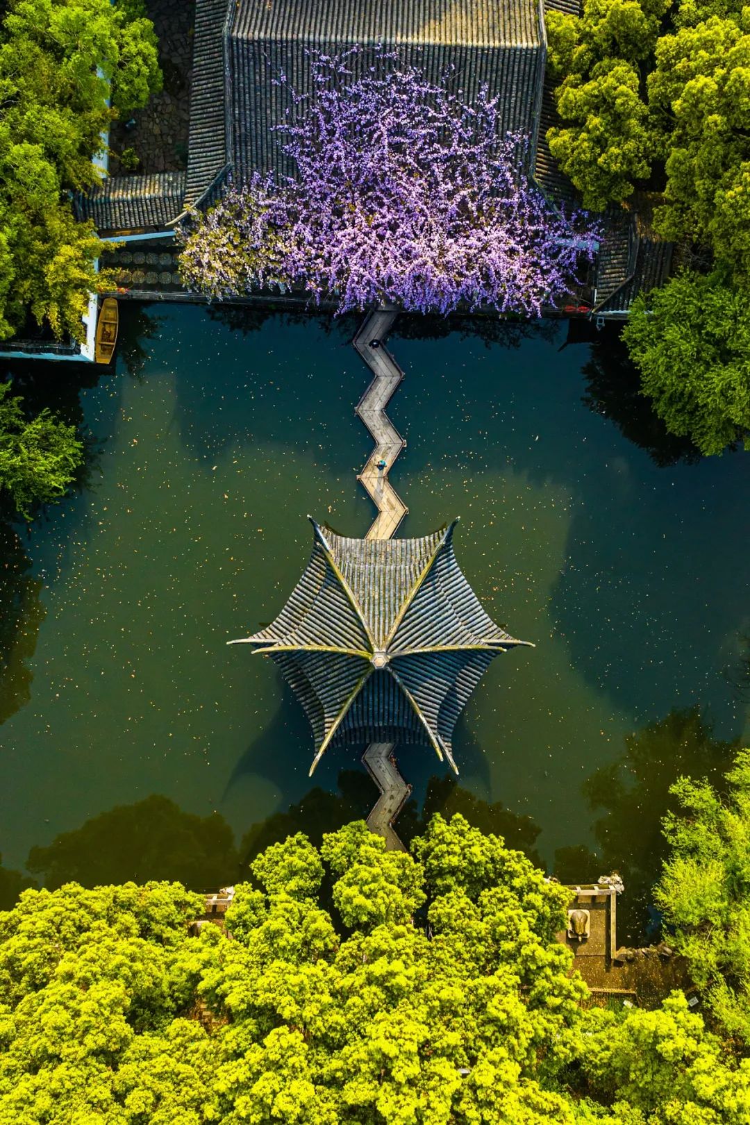 中国最富地级市,藏着中国最精致的春天_澎湃号·湃客_澎湃新闻-the