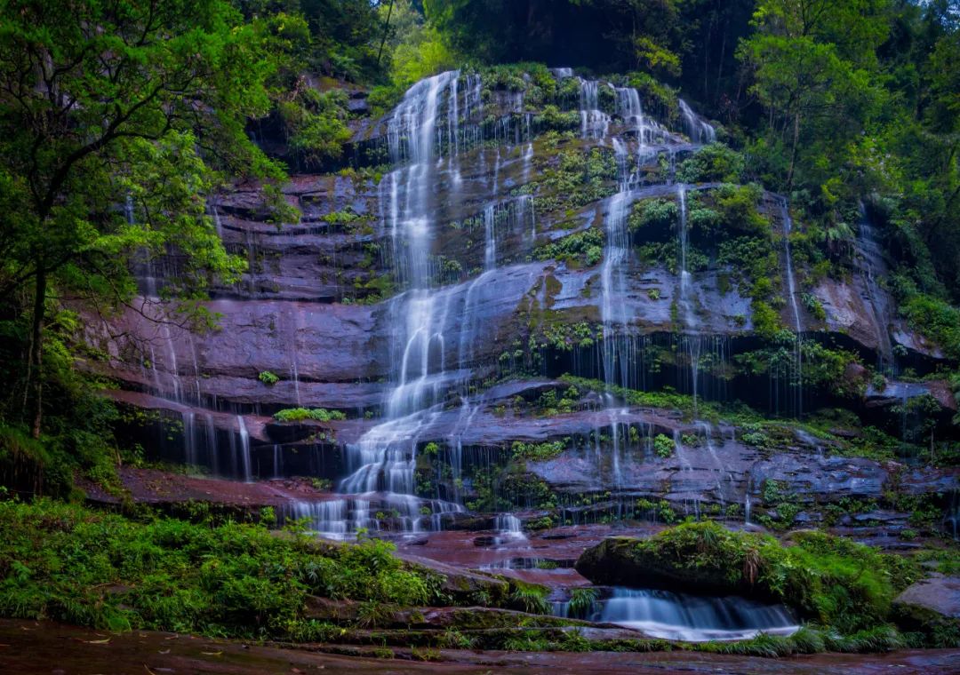 全国酒厂,都离不开这座川西小城_澎湃号·湃客_澎湃新闻-the paper