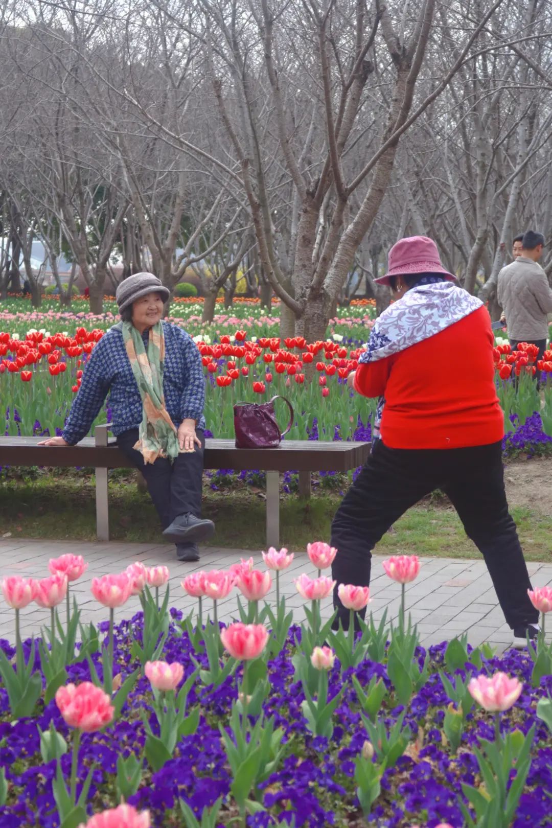 走进琴键春园,万花筒般的各色郁金香如约而至,花香扑面而来.