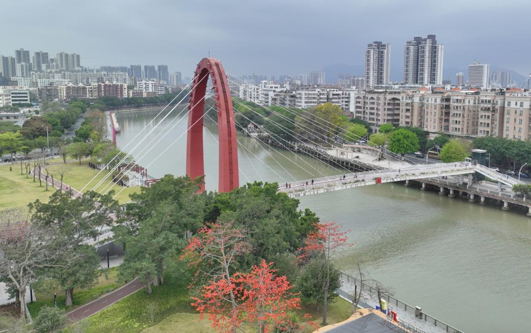 江海3月的热情你感受到了吗?_澎湃号·政务_澎湃新闻-the paper