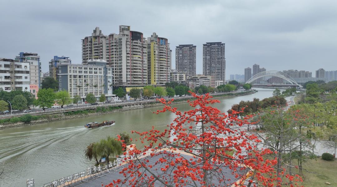 江海3月的热情你感受到了吗?_澎湃号·政务_澎湃新闻-the paper