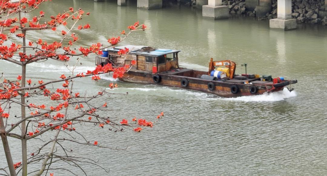 江海3月的热情你感受到了吗?_澎湃号·政务_澎湃新闻-the paper