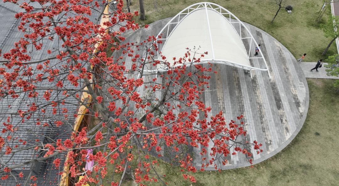 江海3月的热情你感受到了吗?_澎湃号·政务_澎湃新闻-the paper