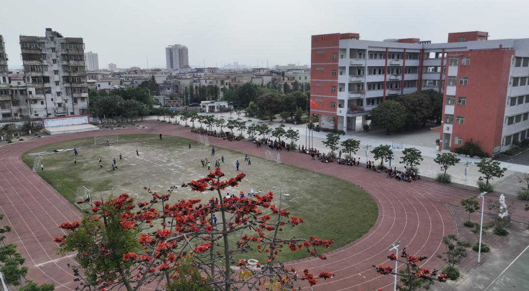 江海3月的热情你感受到了吗?_澎湃号·政务_澎湃新闻-the paper