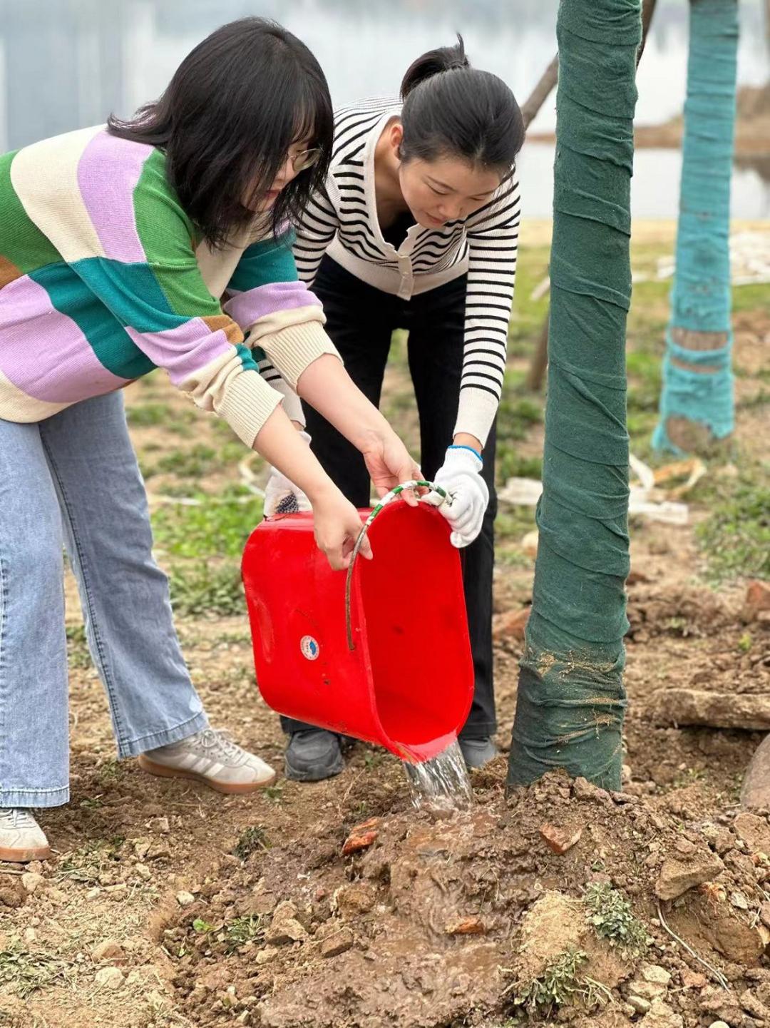 花繁锦簇植得美好丨硚口青年志愿者开展植树护绿活动