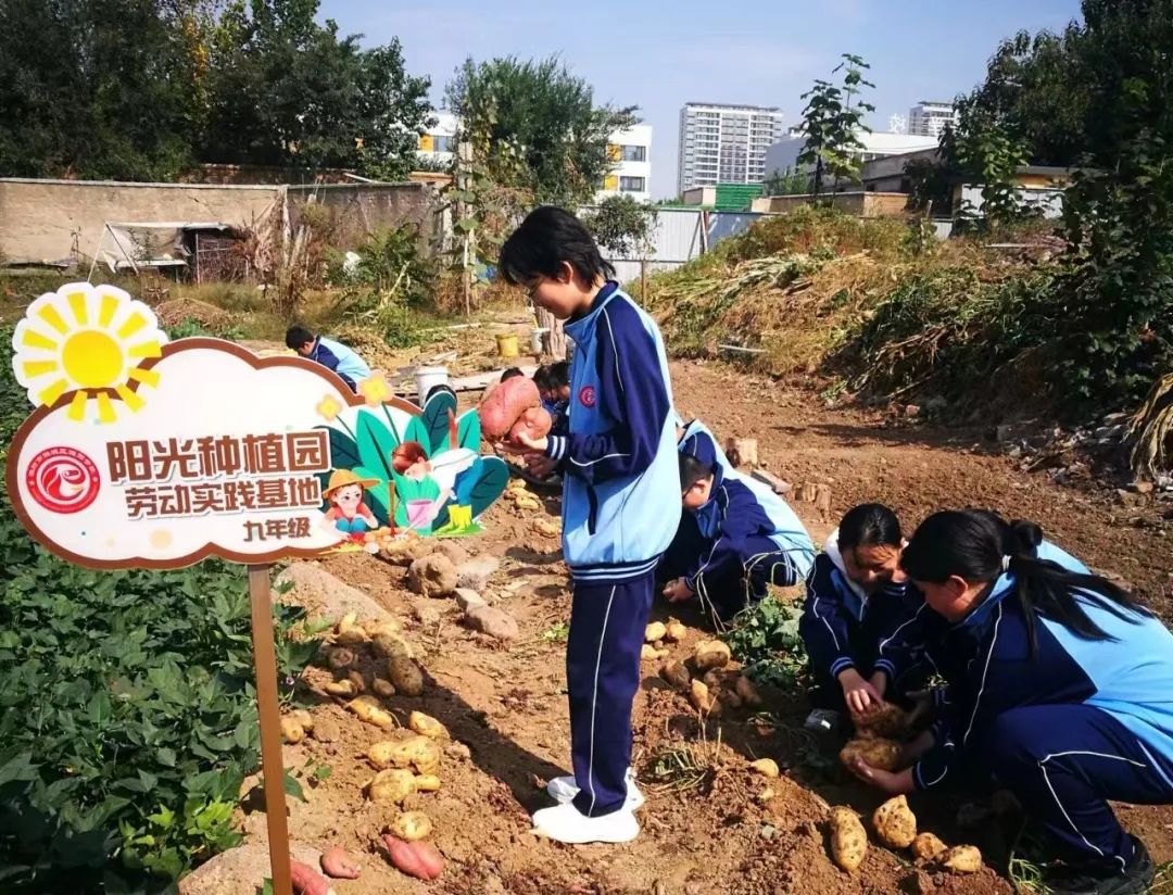 深度挖掘适合学生发展的劳动课程,丰富劳动实践活动,规划学生实践基地