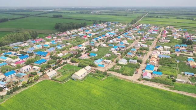 近年来,扶余市大林子镇主力村充分发挥党支部引领作用,乘借松原市大力