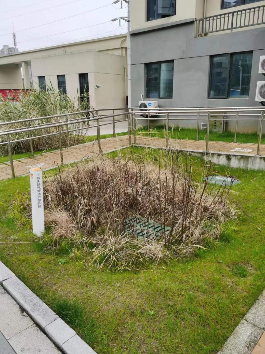 鹰潭海绵城市建设问题多多!各责任单位是