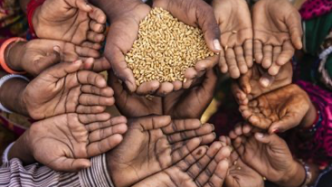 全球智点·全球安全倡议丨亚开行呼吁东帝汶建立可持续的粮食安全体系和营养模式