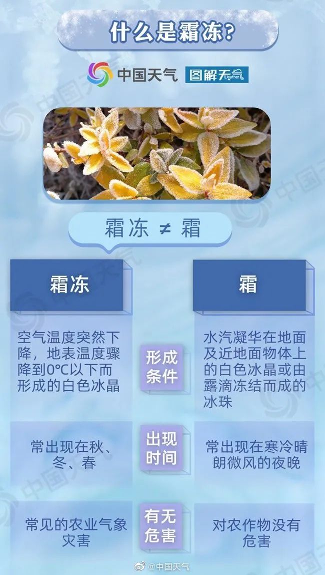 政府及相关部门做好防霜冻准备工作;防御措施