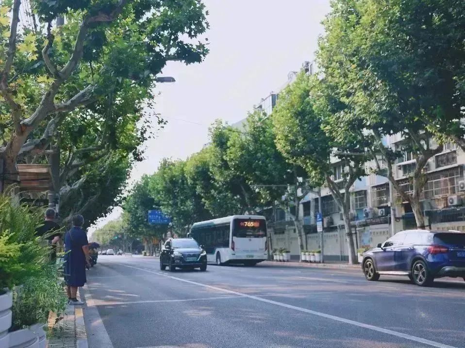 开设爱心寒托班,暑托班,公共区域绿化改造提升……2024年真新街道实事