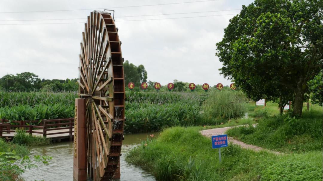 茂名化州市南盛街道平垌村:"美丽庭院"扮靓乡村,"筑巢引凤"蓄力振兴