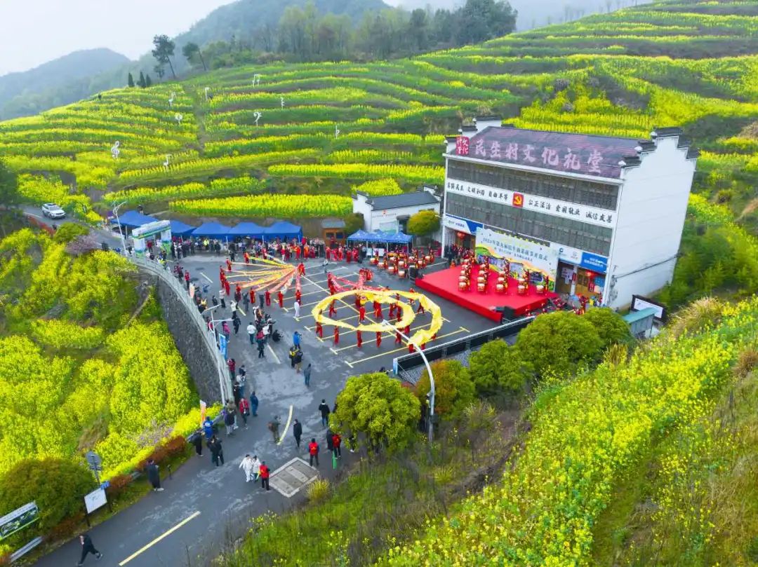 浦江花田跑如期而至送上报名攻略